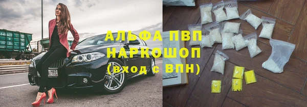 гидра Аркадак