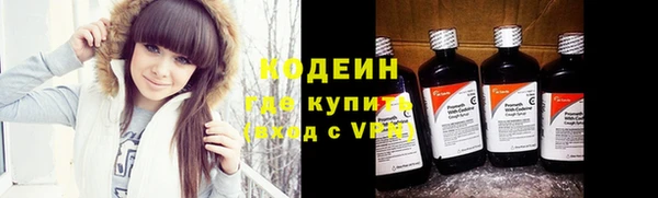 гидра Аркадак