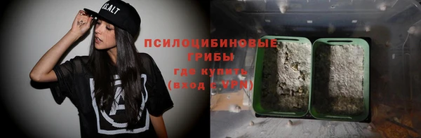 гидра Аркадак