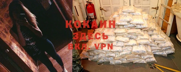 гидра Аркадак