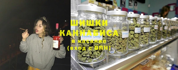 гидра Аркадак