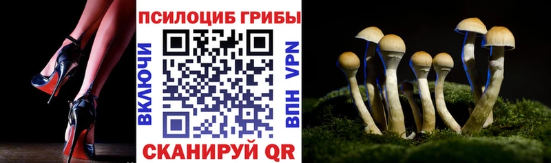 цена   Новороссийск  Галлюциногенные грибы GOLDEN TEACHER 